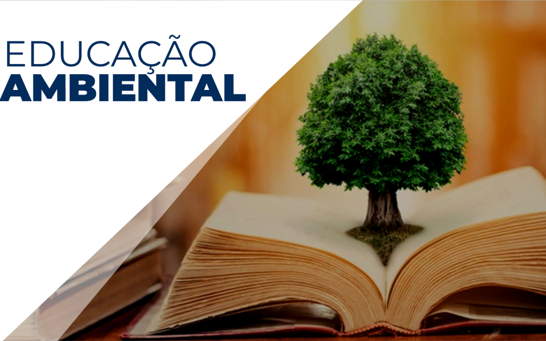 Educação ambiental nas mudanças de hábitos