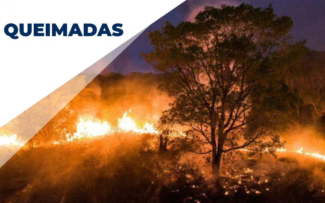 Queimadas – Cuide do seu ambiente